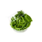 Lechuga-Hidrop-nica-Verde-Puro-x-unid-2-7349