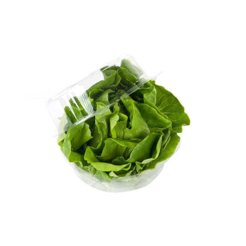 Lechuga-Hidrop-nica-Verde-Puro-x-unid-2-7349