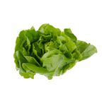 Lechuga-Hidrop-nica-Verde-Puro-x-unid-3-7349