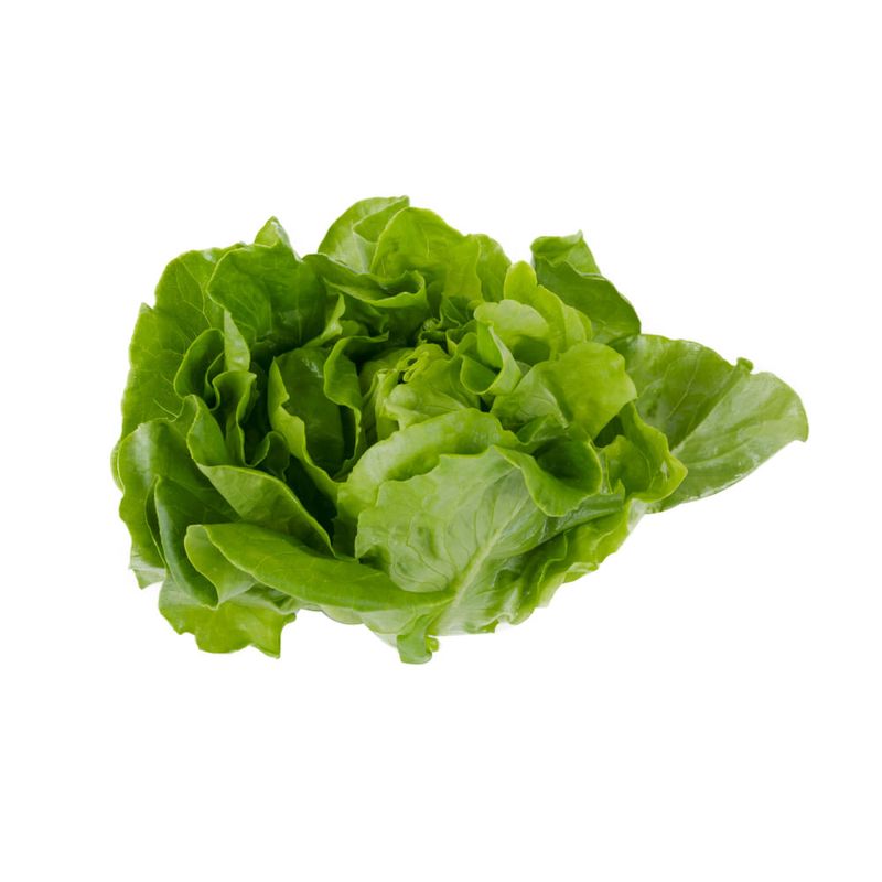 Lechuga-Hidrop-nica-Verde-Puro-x-unid-3-7349