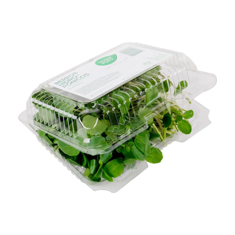 Berros-Hidrop-nicos-Verde-Puro-2-8110