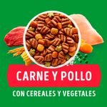 Alimento-para-Perros-Adultos-Tama-o-Mediano-Grande-Bolsa-3-Kg-2-1454