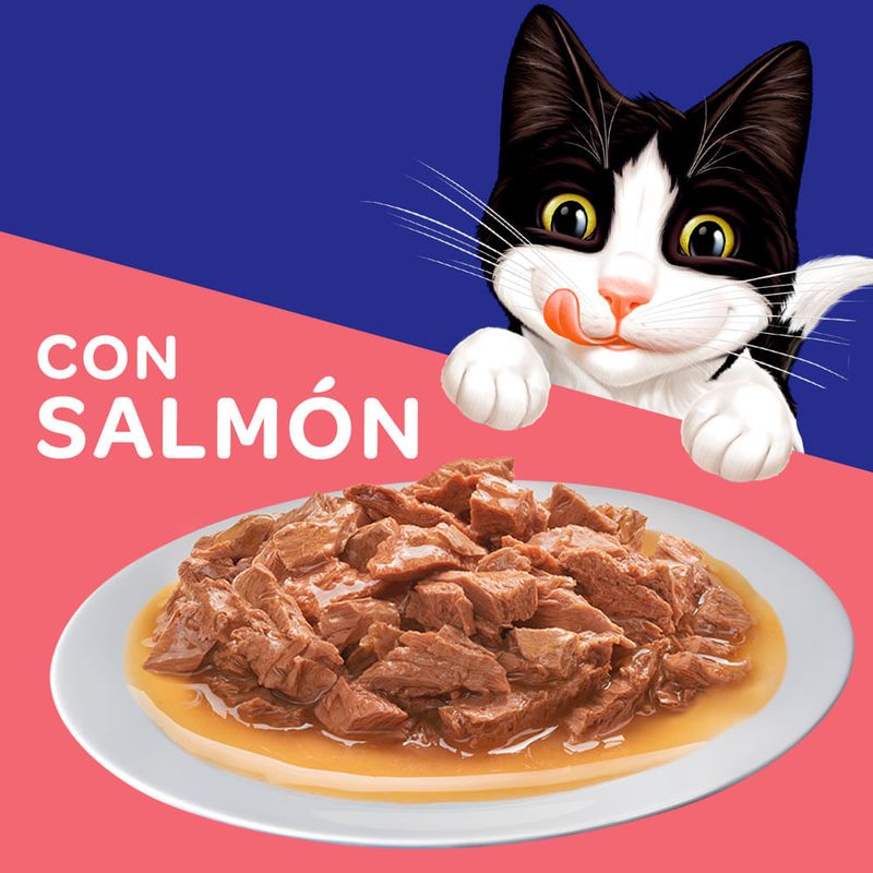 Felix-Alimento-H-medo-para-Gatos-Sensaciones-de-Salm-n-en-Salsa-Doypack-85-gr-2-1345
