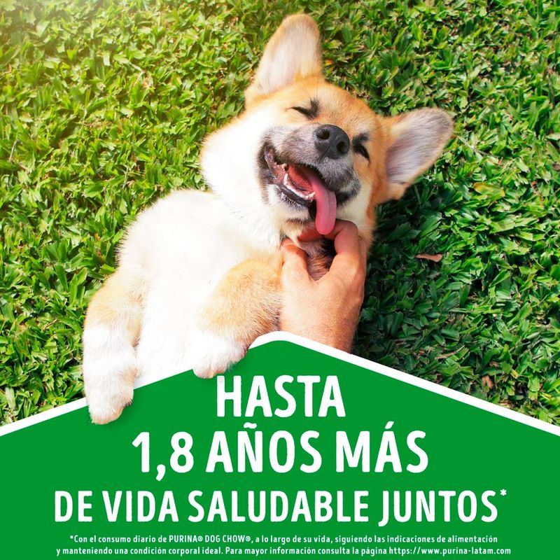 Dog-Chow-Trozos-Jugosos-Cena-de-Carne-Adultos-Doypack-100-gr-3-1341