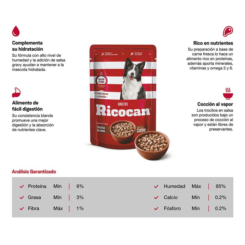 Pouch-Ricocan-Trocitos-Carne-en-Salsa-Adultos-100gr-2-110374