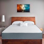 Forli-Colch-n-1-5-Plazas-Capella-Super-Side-Sof-Cama-Almohada-8-160852
