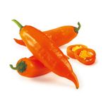 Aji-Amarillo-x-kg-1-169029