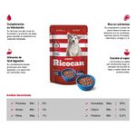 Ricocan-Pouche-Trozos-Cordero-Salsa-Cachorro-x-100Gr-2-161223