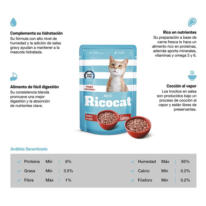 Ricocat-Pouche-Trozos-Salmon-Salsa-x-85Gr-2-161224