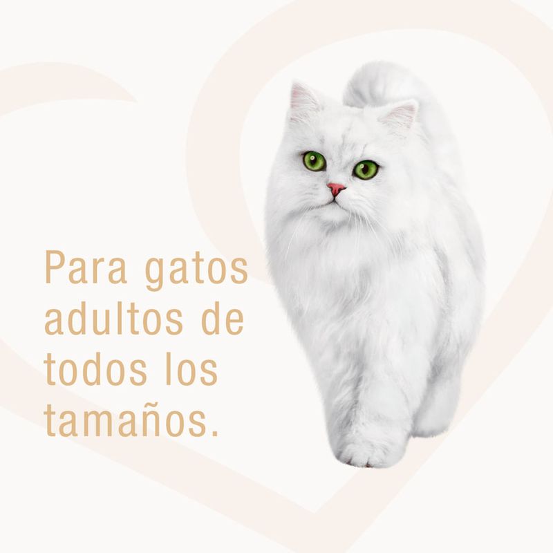 Fancy-Feast-Alimento-H-medo-para-Gatos-Filetes-de-At-n-Lata-85-gr-3-15589070