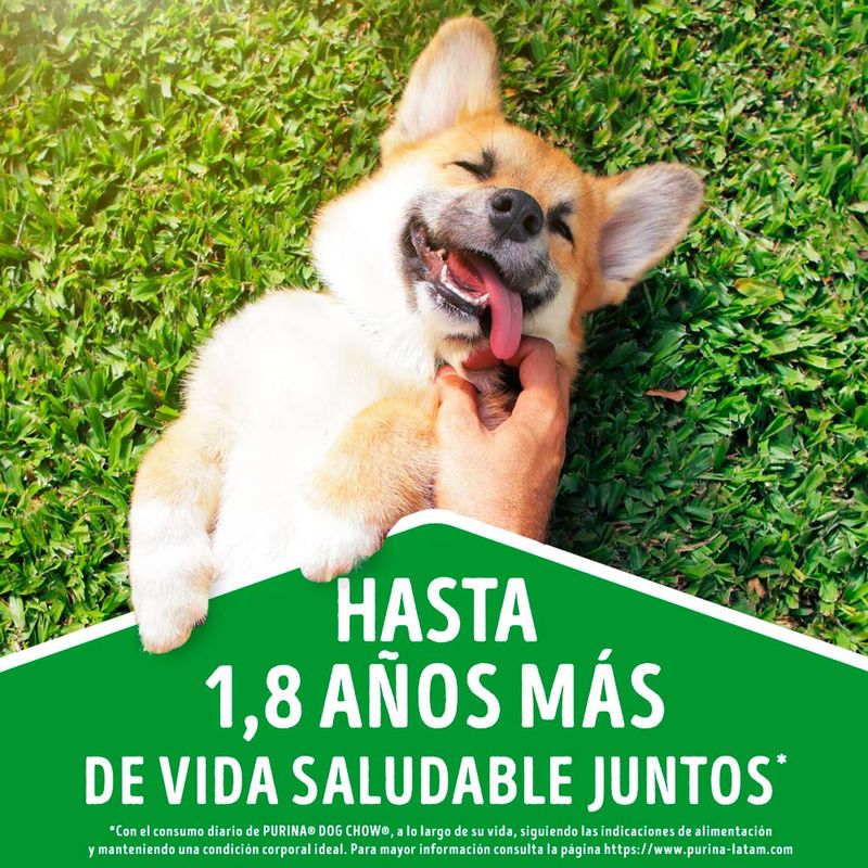 Dog-Chow-Trozos-de-Carne-Cachorros-Doypack-100-gr-3-17192915