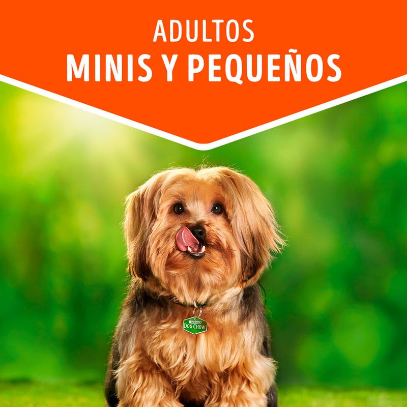Dog-Chow-Trozos-de-Carne-Cachorros-Doypack-100-gr-7-17192915