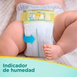 Pa-ales-para-Beb-Pampers-Premium-Care-Talla-P-Paquete-36-unid-6-17194630