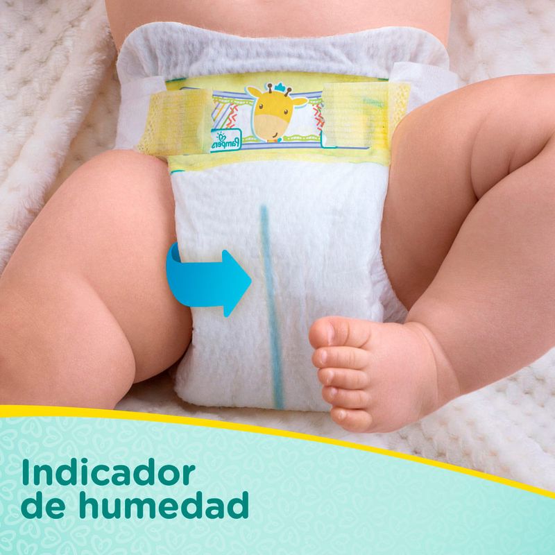 Pa-ales-para-Beb-Pampers-Premium-Care-Talla-P-Paquete-36-unid-6-17194630