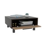 TuHome-Mesa-de-Centro-Kaia-Wengue-5-194337356