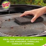 Fibra-para-Parrillas-Scotch-Brite-6un-3-24611001