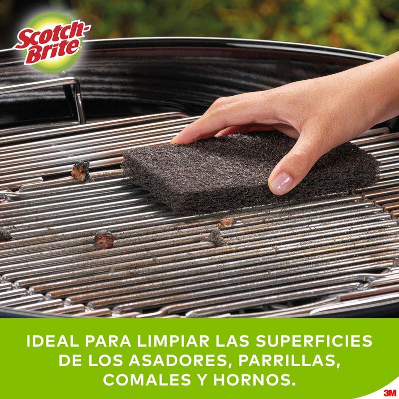 Fibra-para-Parrillas-Scotch-Brite-6un-3-24611001