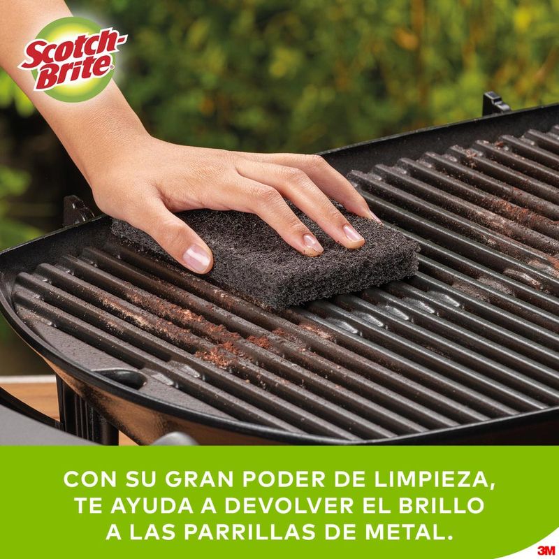 Fibra-para-Parrillas-Scotch-Brite-6un-4-24611001