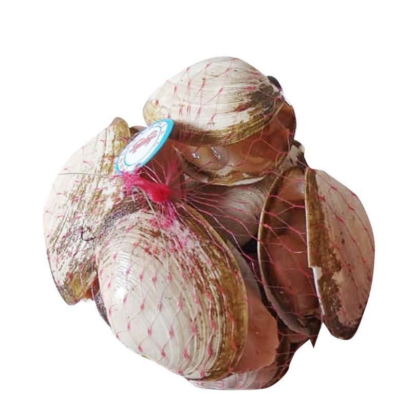 Almeja-en-Malla-x-500-g-1-121025261