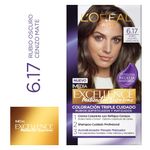 Tinte-para-Cabello-6-17-Rubio-Oscuro-Cenizo-Mate-Excellence-Caja-162-5-ml-1-188634384
