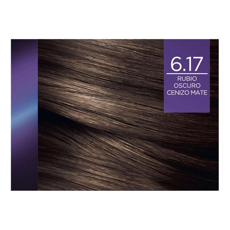 Tinte-para-Cabello-6-17-Rubio-Oscuro-Cenizo-Mate-Excellence-Caja-162-5-ml-2-188634384