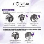 Tinte-para-Cabello-6-17-Rubio-Oscuro-Cenizo-Mate-Excellence-Caja-162-5-ml-12-188634384