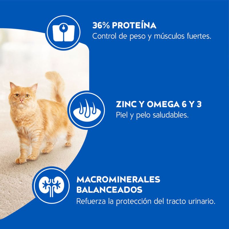 Alimento-para-Gatitos-Scool-Esterilizado-8-kg-5-222019255
