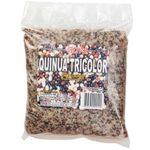 Quinua-Tricolor-Precocida-Guva-500g-1-69974419
