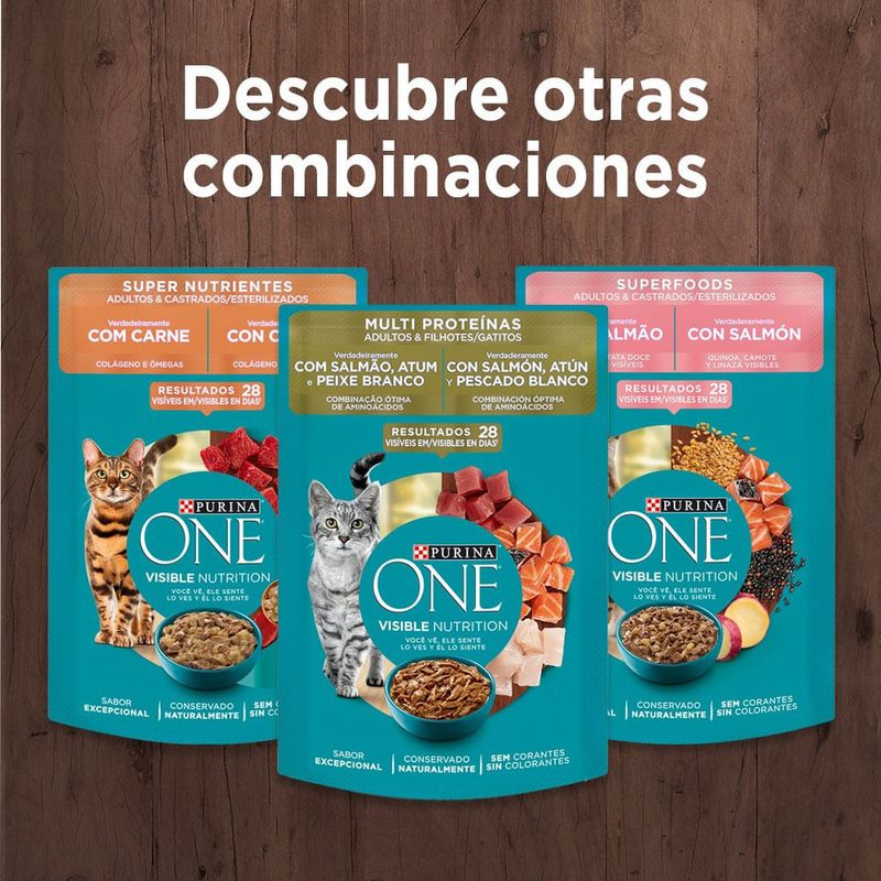 Purina-One-Gatos-Esterilizados-con-Pollo-y-Salmon-5kg-2-261573483