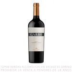 Vino-Tinto-Cabernet-Franc-Garbo-Botella-750ml-1-322302332