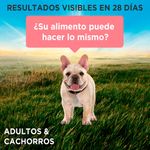 Purina-One-Adulto-y-Cachorro-Salm-n-85g-6-261573480
