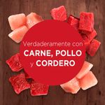 Purina-One-Adulto-y-Cachorro-Cordero-Carne-85g-3-261573481