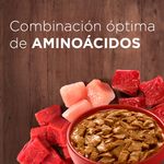 Purina-One-Adulto-y-Cachorro-Cordero-Carne-85g-4-261573481