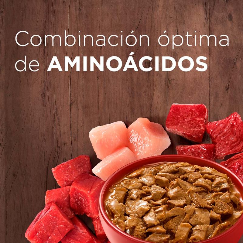 Purina-One-Adulto-y-Cachorro-Cordero-Carne-85g-4-261573481