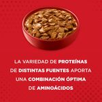 Purina-One-Adulto-y-Cachorro-Cordero-Carne-85g-5-261573481