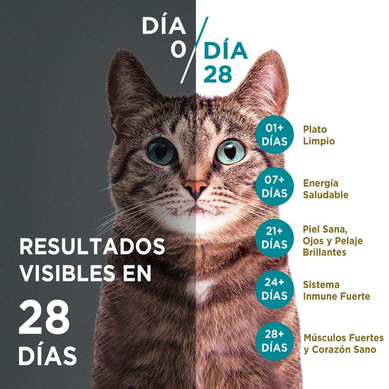 Purina-One-Gatos-Esterilizados-Carne-85g-2-261573484
