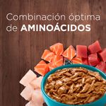 Purina-One-Gatos-Esterilizados-Carne-85g-4-261573484