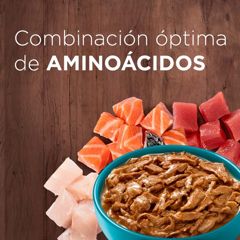 Purina-One-Gatos-Esterilizados-Carne-85g-4-261573484