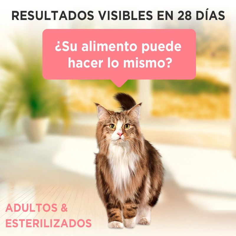 Purina-One-Gatitos-Salm-n-At-n-y-Pollo-85g-6-261573485