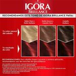 IGORA-BRILLANCE-ROJO-RUBI-4-36946