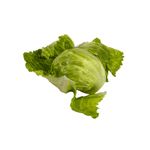 Lechuga-Americana-Verde-Puro-2-128580