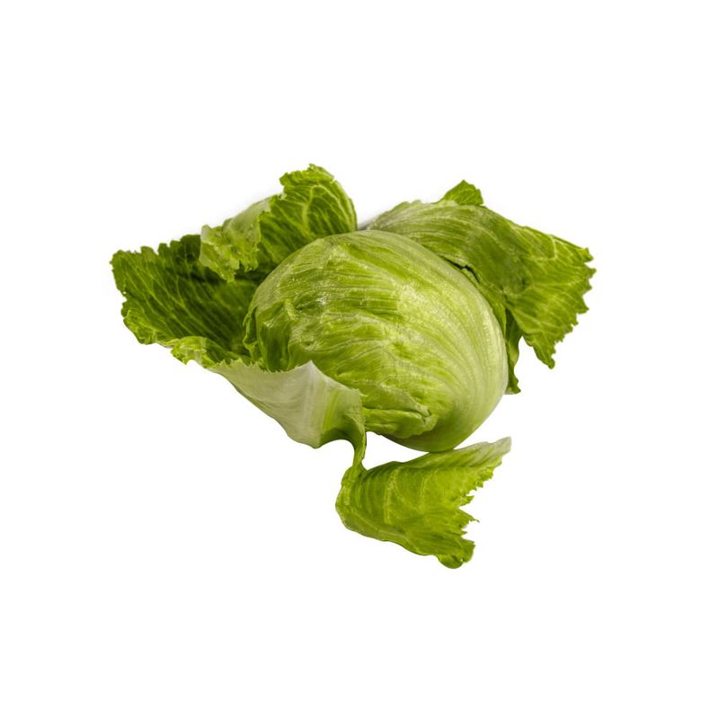 Lechuga-Americana-Verde-Puro-2-128580