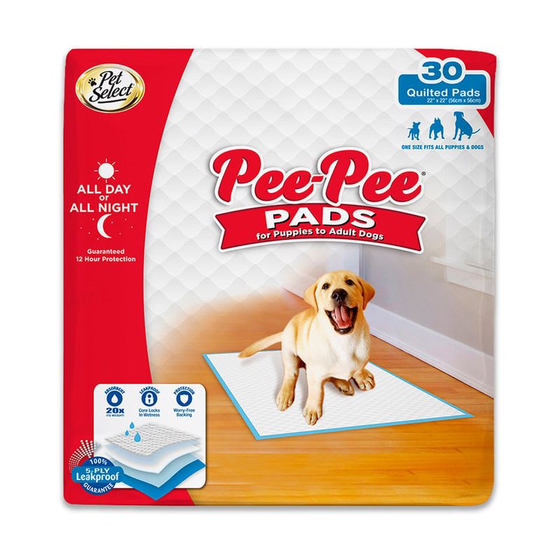 TRAINNIG-PADS-X-3O-UNIDADES-PEE-PEE-1-351635399