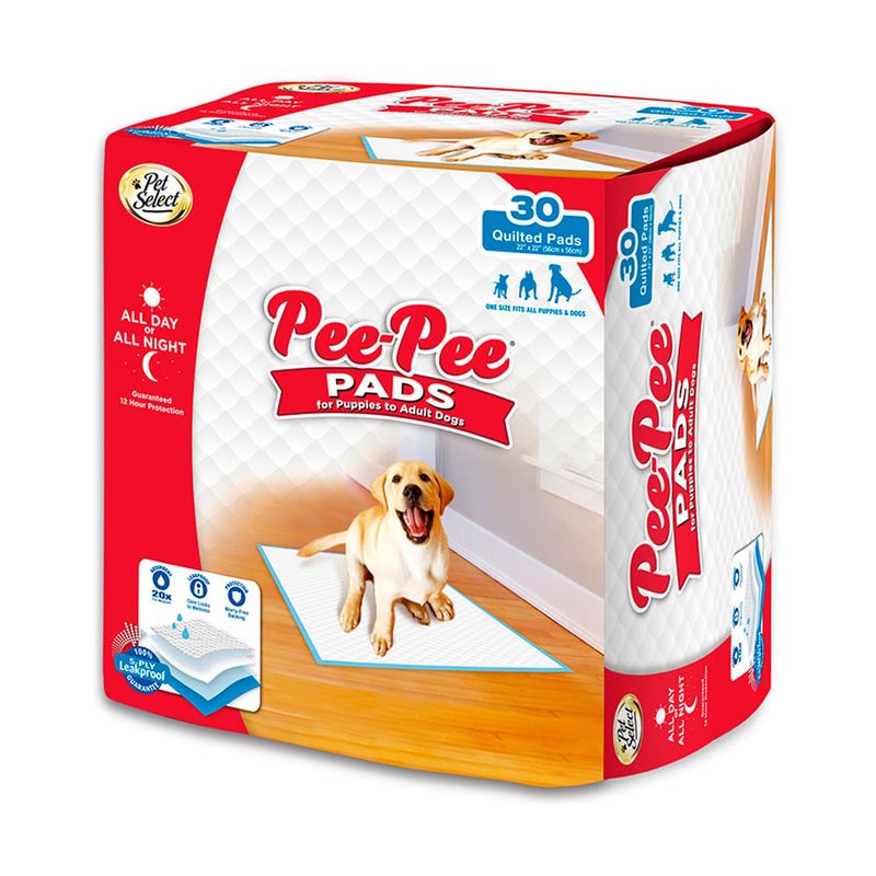 TRAINNIG-PADS-X-3O-UNIDADES-PEE-PEE-2-351635399