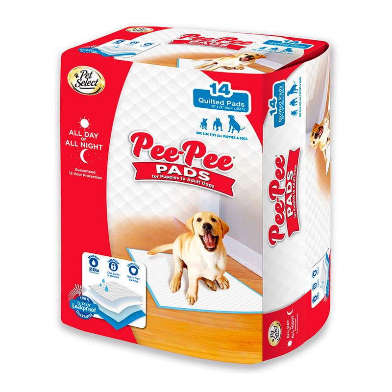 TRAINNIG-PADS-X-14-UNIDADES-PEE-PEE-2-351635400