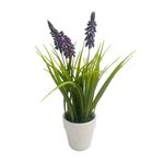 Flores-Krea-En-Maceta-D4-1-161851
