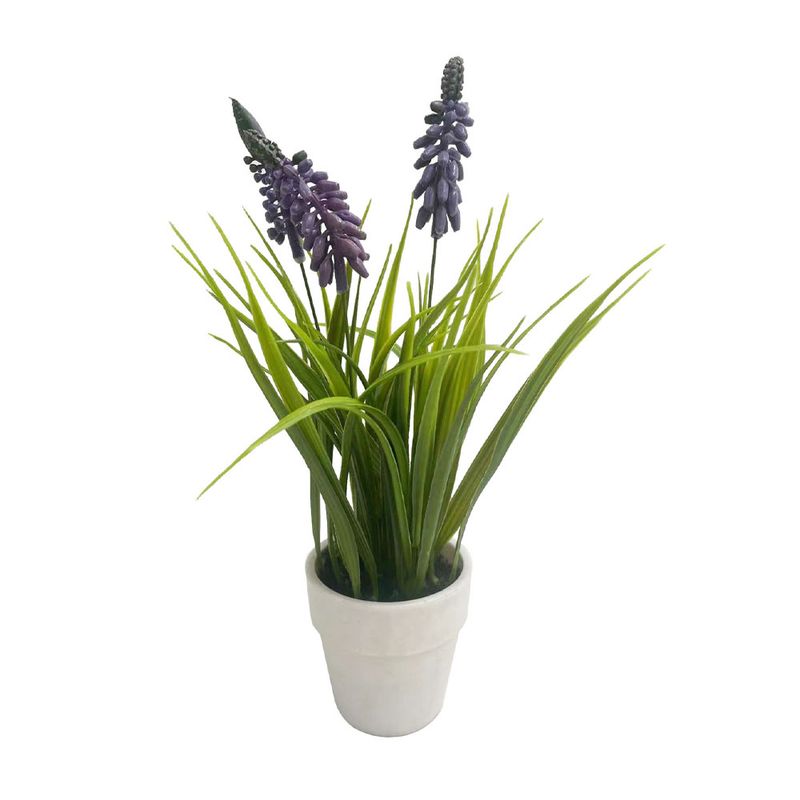 Flores-Krea-En-Maceta-D4-1-161851