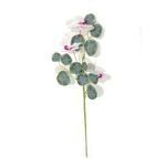 Flor-de-Tallo-Krea-Mediano-50-1-161856