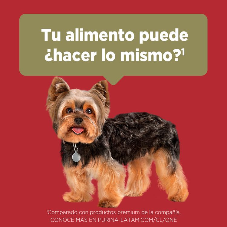 Alimento-para-Perros-Minis-y-Peque-os-Purina-One-Pollo-y-Carne-2kg-6-242599