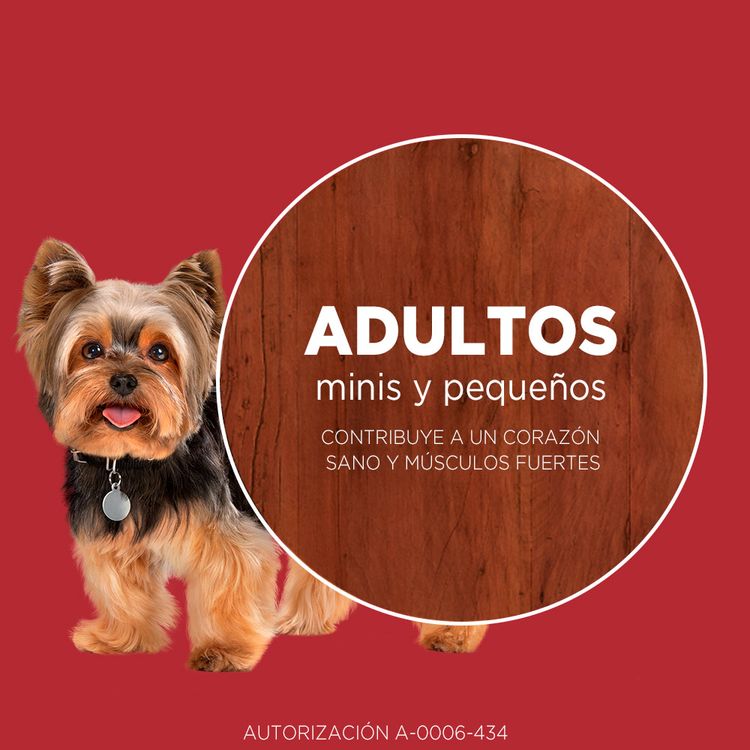 Alimento-para-Perros-Minis-y-Peque-os-Purina-One-Pollo-y-Carne-2kg-7-242599
